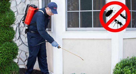 Eskifoça Gümüşkurt İlaçlama böcek ilaçlama ve haşere kontrolü — ilaclama-tr.com